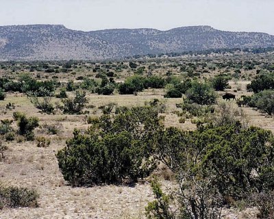 West Texas