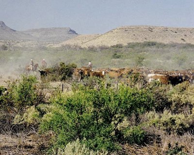 West Texas
