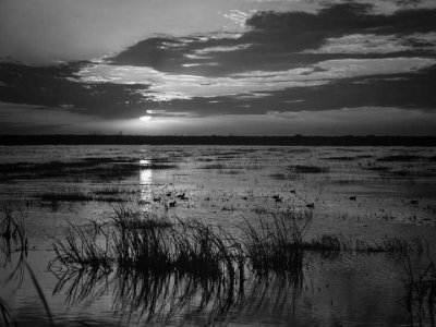 Sunset on the marsh