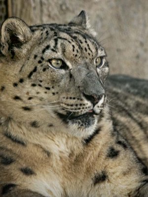 At the Zoo