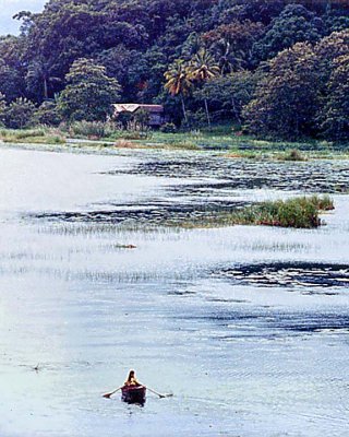 Rowing home. Honduras