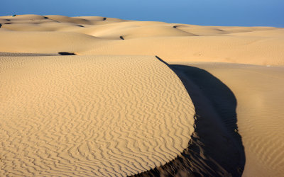 Coastal Sand dunes W Mirbat