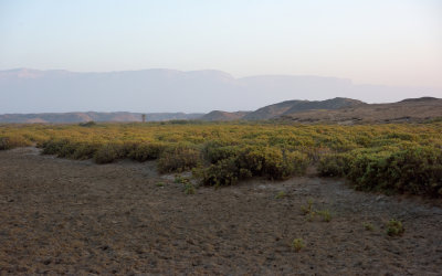 Wadi west of Ras Janjari