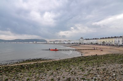 Dsc_0262.jpg