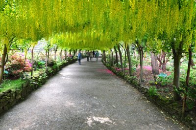 Dsc_1067.jpg