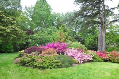 Dsc_1100.jpg