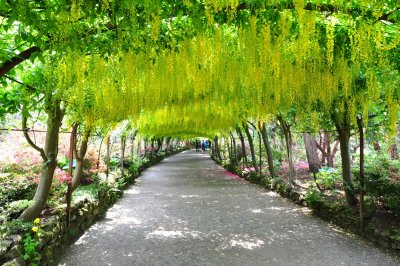 Dsc_1118.jpg