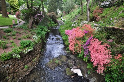 Dsc_1133.jpg