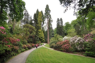 Dsc_1150.jpg