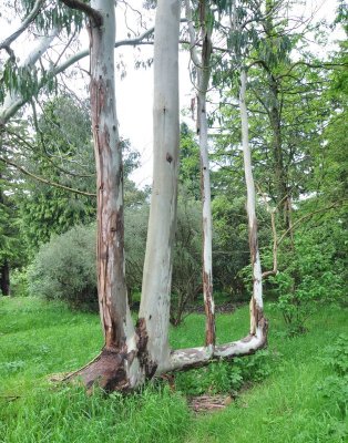 Dsc_1314.jpg