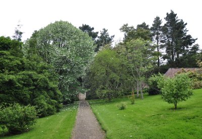 Dsc_1336.jpg