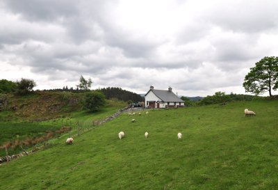 Dsc_1477.jpg