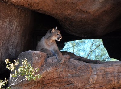 Dsc_10035.jpg