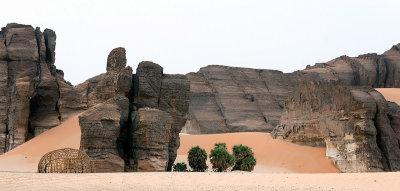 trees and rocks