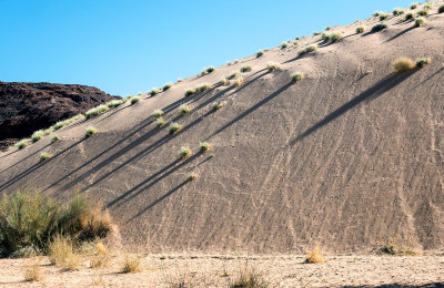 Shadows on the dune