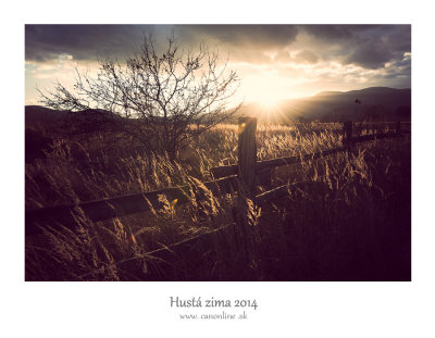husta-zima-2014.jpg
