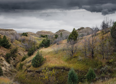 Roosevelt NP