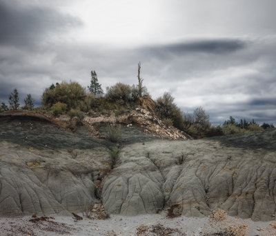 Roosevelt NP