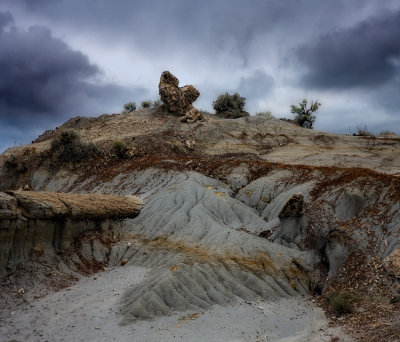 Roosevelt NP