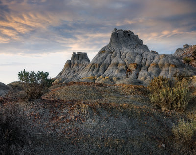 Roosevelt NP