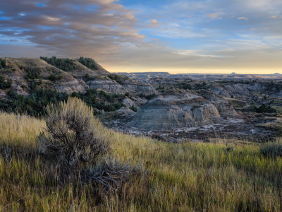 roosevelt_np