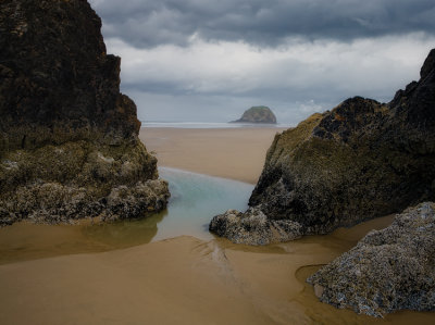 Oregon Coast