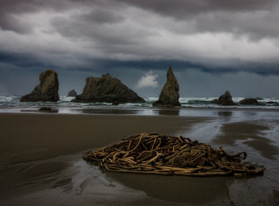 Oregon Coast