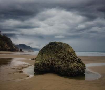 Oregon Coast