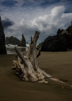 Oregon Coast