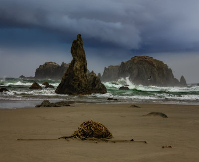 Oregon Coast