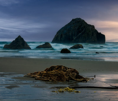 Oregon Coast