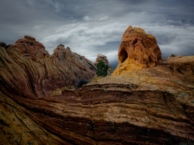 S Coyote Buttes