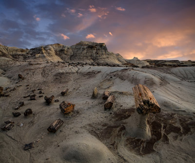 Valley of the King