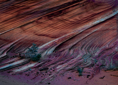 S Coyote Buttes