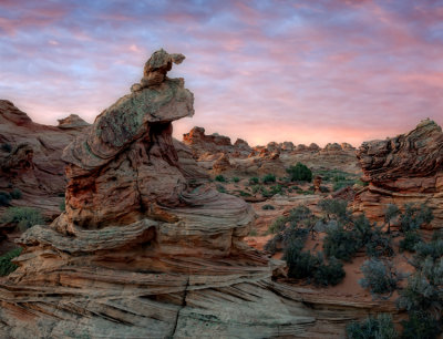 S Coyote Buttes