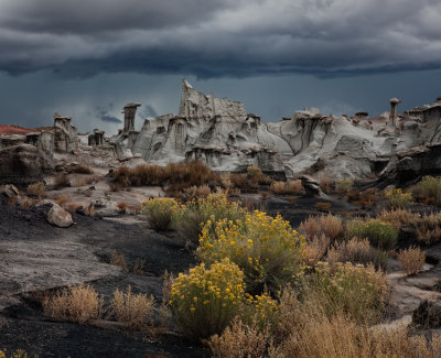 Valley of Dreams