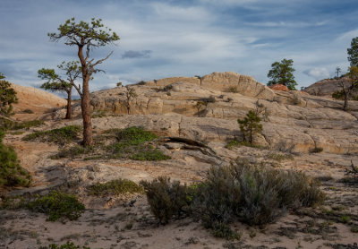 Pinnacle Valley