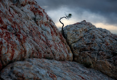 Pinnacle Valley