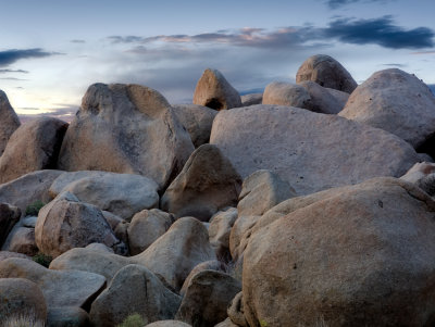 Joshua Tree