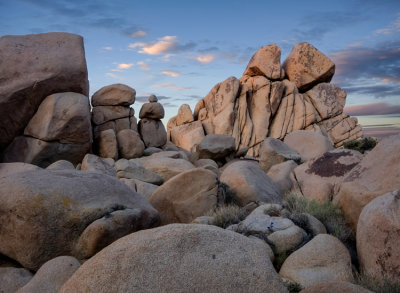 Joshua Tree