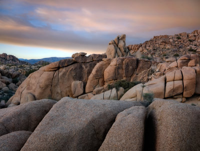 Joshua Tree