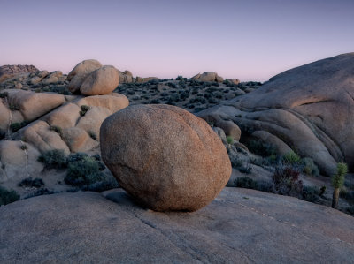 Joshua Tree