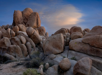 Joshua Tree