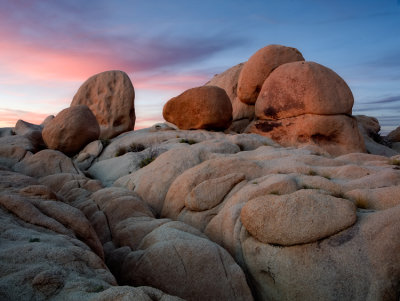 Joshua Tree