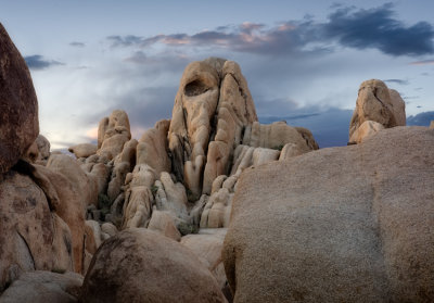 Joshua Tree