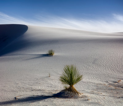 White Sands