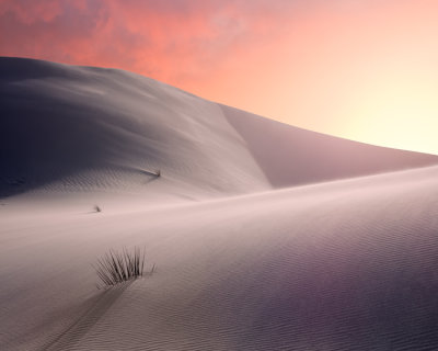 White Sands