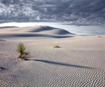 White Sands