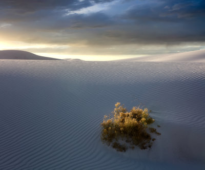 White Sands