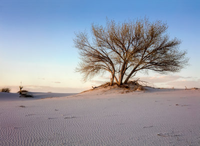 White Sands